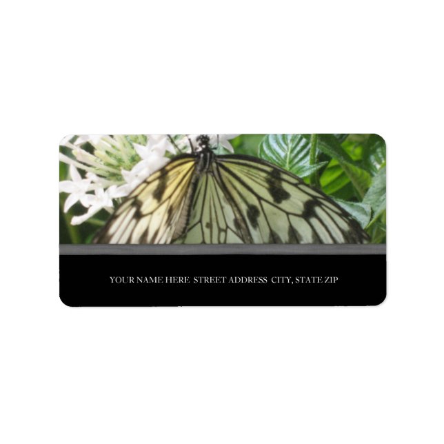 Butterfly Address Labels (Front)