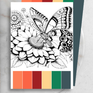Butterfly Adult Coloring Cards & Color Combination