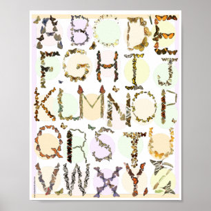 Butterfly Alphabet Poster - Kids ABC