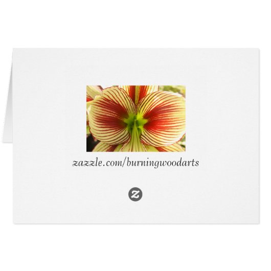 Butterfly Amaryllis (Back Horizontal)