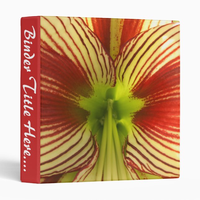 Butterfly Amaryllis - 1" Binder (Front/Spine)