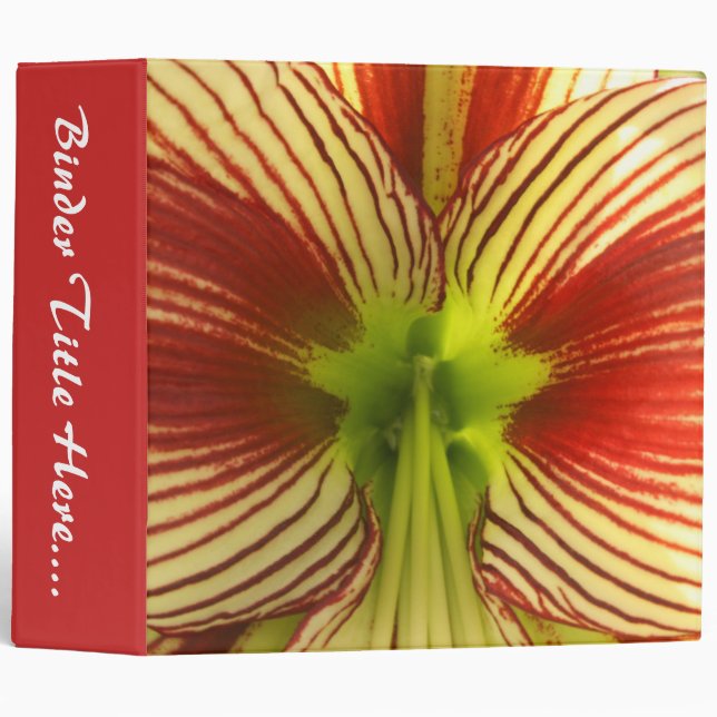 Butterfly Amaryllis - 2" 3 Ring Binder (Front/Spine)