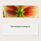 Butterfly Amaryllis Bookmark (Front & Back)