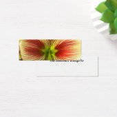 Butterfly Amaryllis Bookmark (Desk)