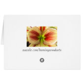 Butterfly Amaryllis Cards (Back Horizontal)
