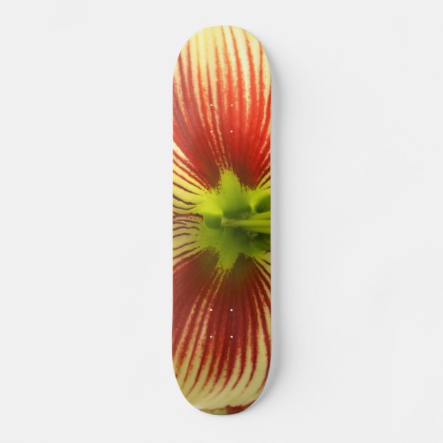 Butterfly Amaryllis Skateboard Deck (Front)
