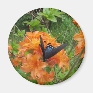 butterfly and azalea magnet