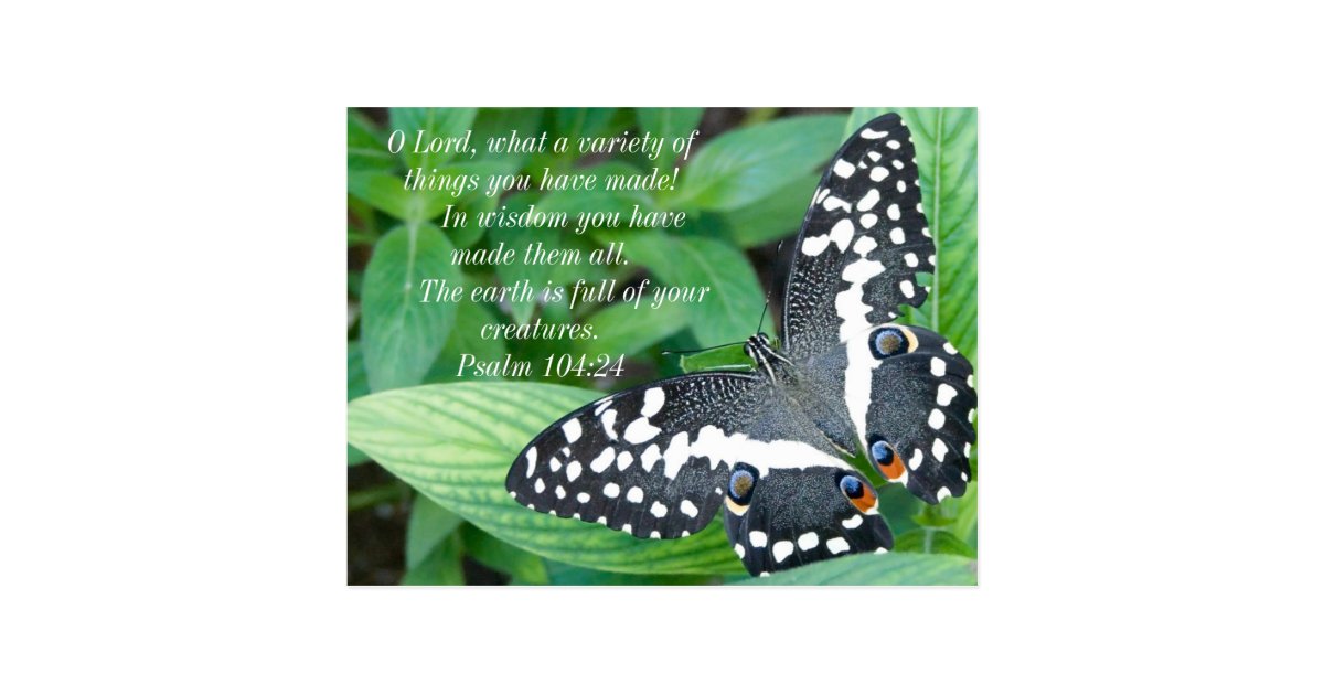 Butterfly and Bible Verse Postcard | Zazzle.com
