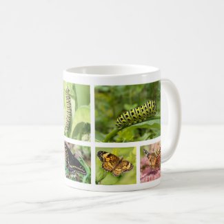 Butterfly and Caterpillar Coffee Mug