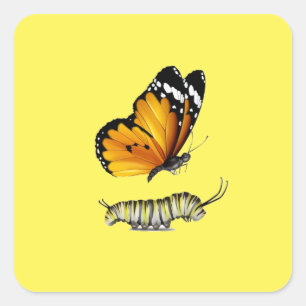 Butterfly and caterpillar square sticker
