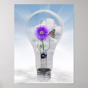 Butterfly And Dahlia In a Light Bulb Poster