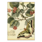 Butterfly and Dragonfly with Red Flowers (Front)