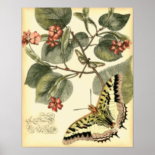 Butterfly and Dragonfly with Red Flowers Poster