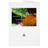 Butterfly and Echinacea Cards (Back)