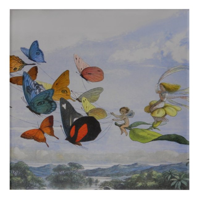 Butterfly and Fairy Queen Butterflies Fairies Acrylic Print (Front)