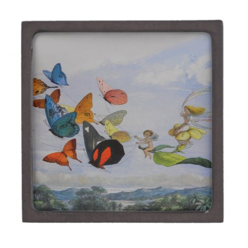 Butterfly and Fairy Queen Butterflies Fairies Gift Box