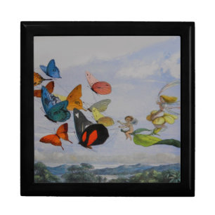 Butterfly and Fairy Queen Butterflies Fairies Gift Box