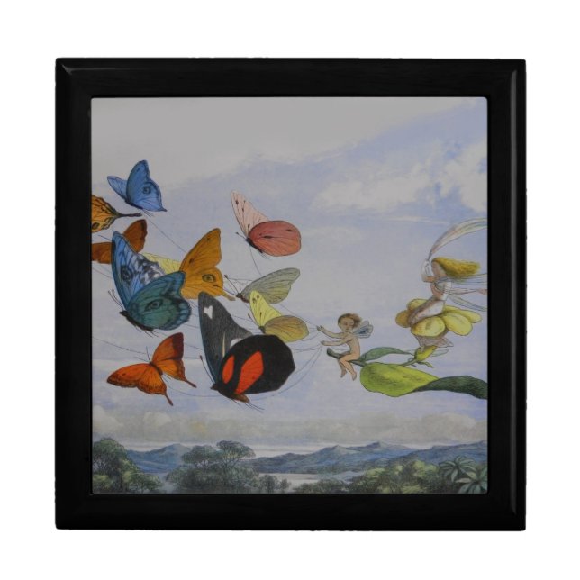 Butterfly and Fairy Queen Butterflies Fairies Gift Box (Front)