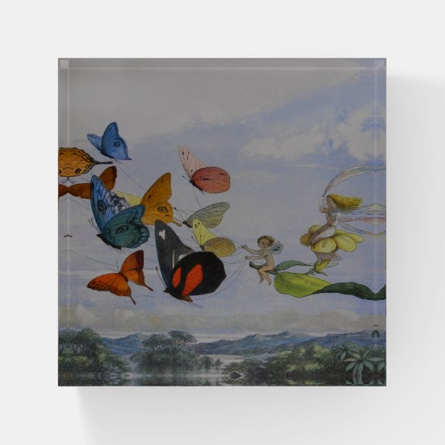Butterfly and Fairy Queen Butterflies Fairies Paperweight (Front)