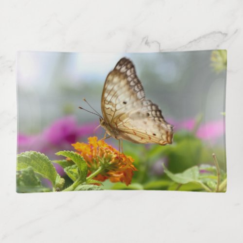 Butterfly and Flower Close_up Photo  Trinket Tray