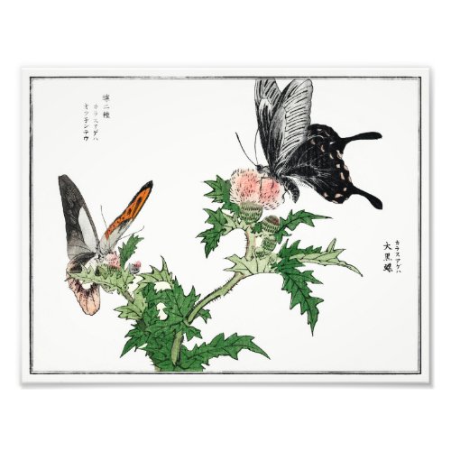 Butterfly and flower illustration from Churui Gafu Photo Print