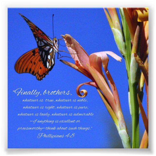 Butterfly and Flower Phillipians 4:8 Scripture Photo Print (Front)