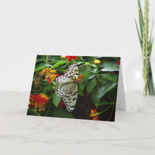 Butterfly and Flowers Hi/Hello Greeting Card