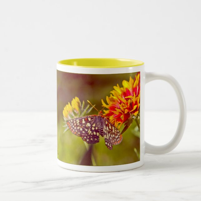 Butterfly and Gaillardia Two-Tone Coffee Mug (Right)