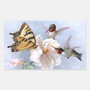 Butterfly and Hummingbirds Rectangular Sticker