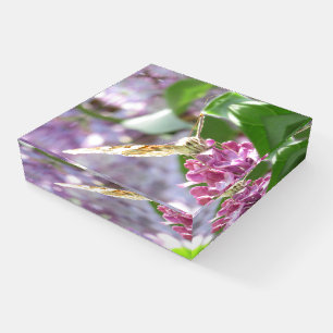Butterfly and Lilac Flowers or your image Paperweight