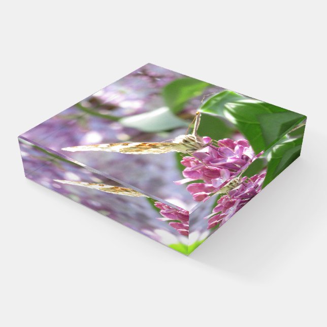 Butterfly and Lilac Flowers or your image Paperweight (Angled)