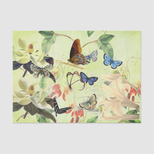 BUTTERFLY AND MAGNOLIA TISSUE PAPER (Front)