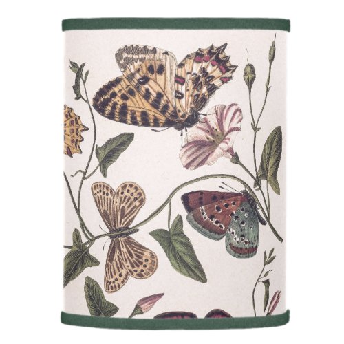 Butterfly and moth by Paul Gervais Lamp Shade