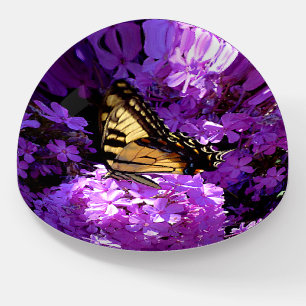 Butterfly and Phlox Paperweight
