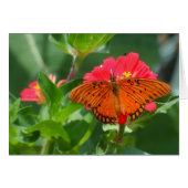 Butterfly and Pink Flower (Front Horizontal)