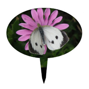 Butterfly and Pink Flower Cake Pick