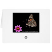 Butterfly and Pink Flower Cards (Back Horizontal)