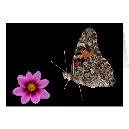 Butterfly and Pink Flower Cards (Front Horizontal)