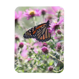 Butterfly and Purple Meadow Flowers Magnet