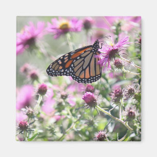 Butterfly and Purple Meadow Flowers Magnet