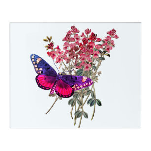 Butterfly and Red Flowers Acrylic Print