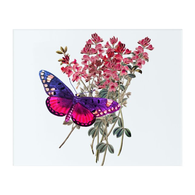 Butterfly and Red Flowers Acrylic Print (Front)