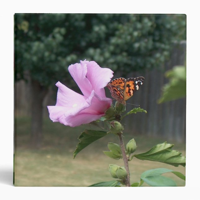 Butterfly and Rose of Sharon Binder (Front)