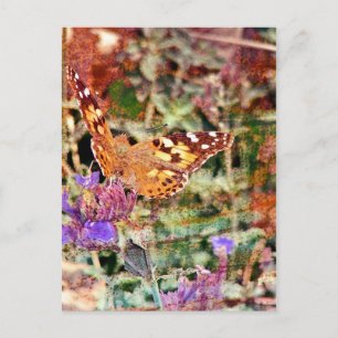 Butterfly and Rust Postcard