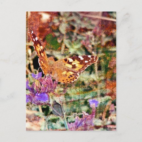 Butterfly and Rust Postcard