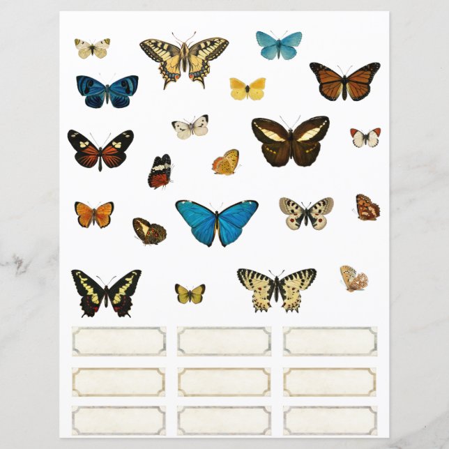 Butterfly and Specimen Tags Scrapbooking Elements  (Front)