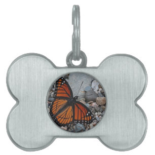Butterfly and Stones Pet Name Tag