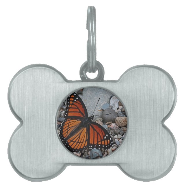 Butterfly and Stones Pet Name Tag (Front)
