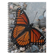 Butterfly and Stones Spiral Note Books