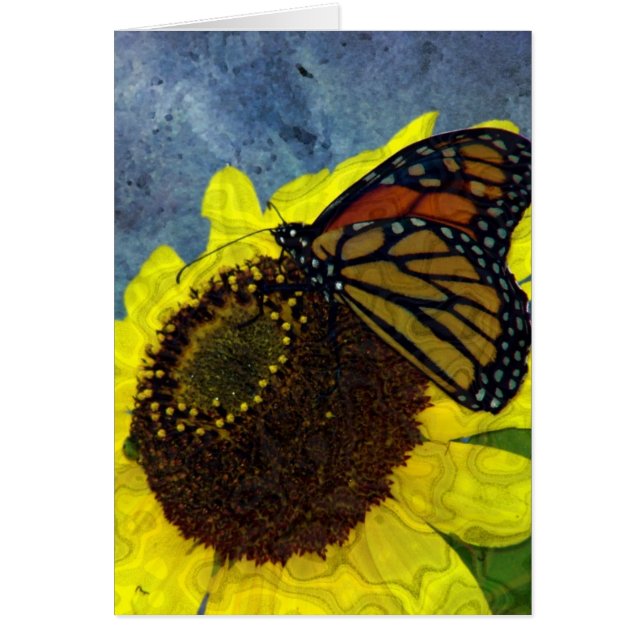 Butterfly and Sunflower Digital Art Cards (Front)